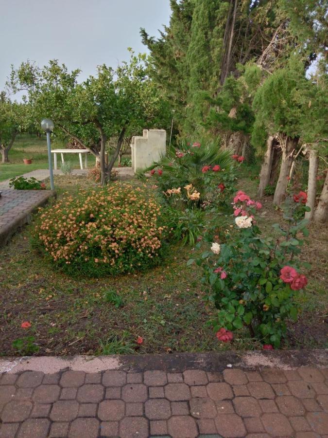 Appartamento In Orosei In Villa Delle Arance 300Mt Dalla Spiaggia Exterior foto