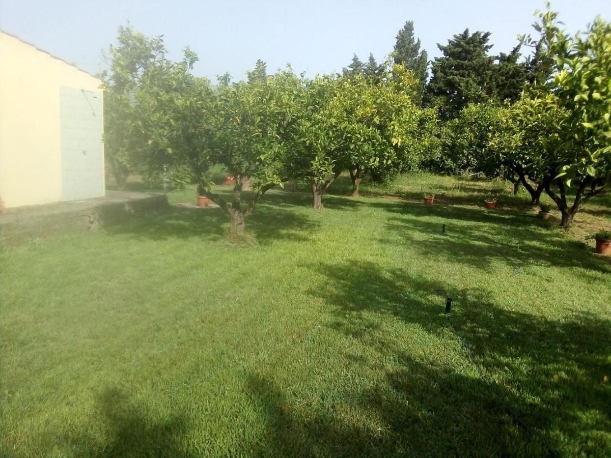 Appartamento In Orosei In Villa Delle Arance 300Mt Dalla Spiaggia Exterior foto